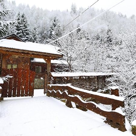 Cabana Frasin Dragoslavele Exterior photo