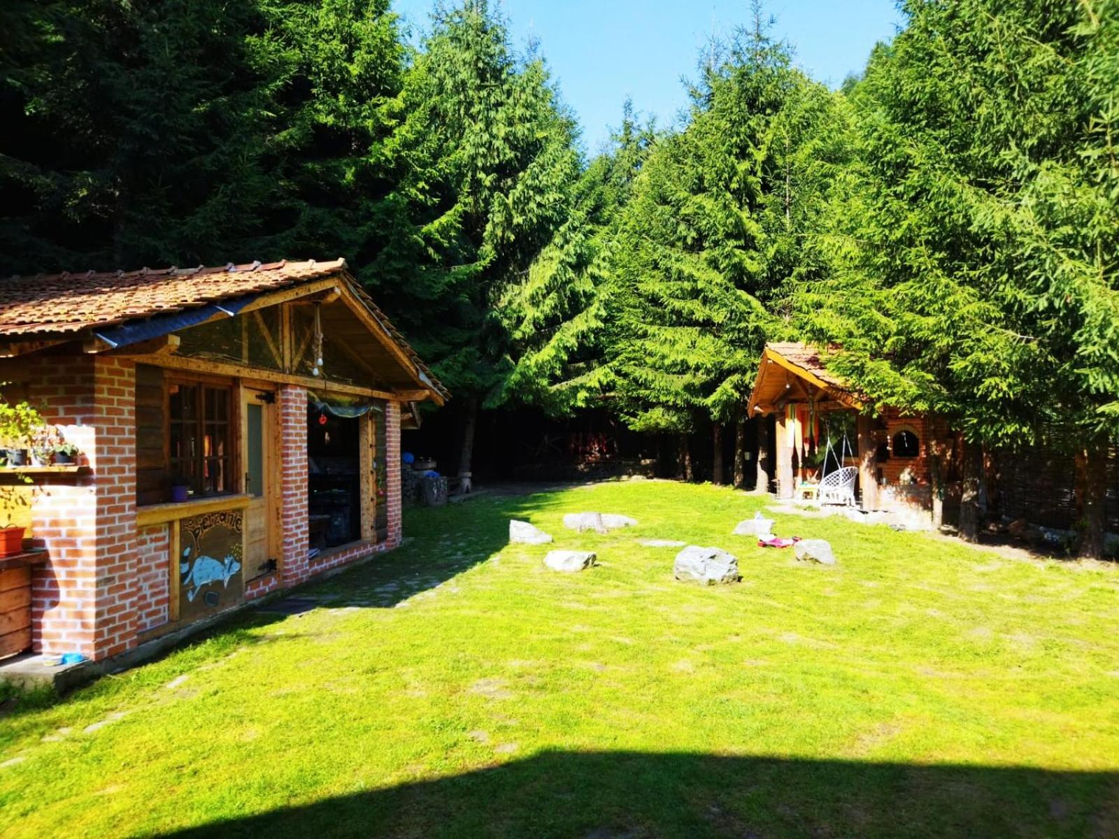 Cabana Frasin Dragoslavele Exterior photo