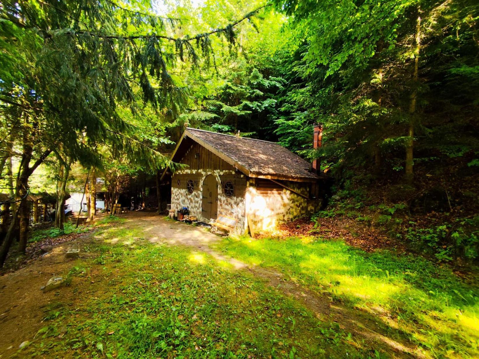 Cabana Frasin Dragoslavele Exterior photo